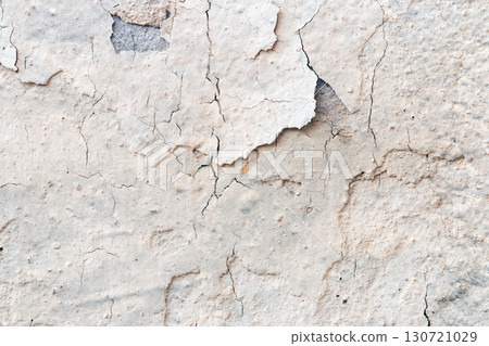 Light Gray Stucco Wall Texture. Abstract Background 130721029