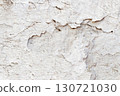 Light Gray Stucco Wall Texture. Abstract Background 130721030