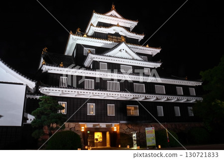 Illuminated Okayama Castle (Crow Castle) Illuminated Okayama Castle (Crow Castle) 130721833