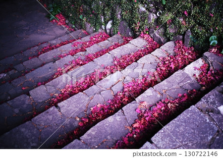 Autumn leaves piled up on the stone steps 130722146