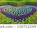 Italian mountain garden with many chrysanthemums planted 130722249