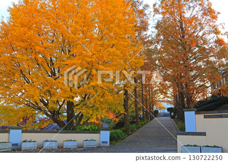 A corridor in the Italian mountain garden, overshadowed by golden trees A corridor in the Italian mountain garden, overshadowed by golden trees 130722250