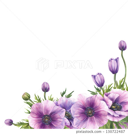 Anemones flowers with purple buds, green, leaves and long stem corner frame. Watercolor Realistic greenery floral template for wedding, greeting card. Hand drawn isolated from background illustration Anemones flowers with purple buds, green, leaves and long stem corner frame. Watercolor Realistic greenery floral template for wedding, greeting card. Hand drawn isolated from background illustration 130722487
