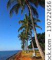 Palm trees and blue sea 130722656