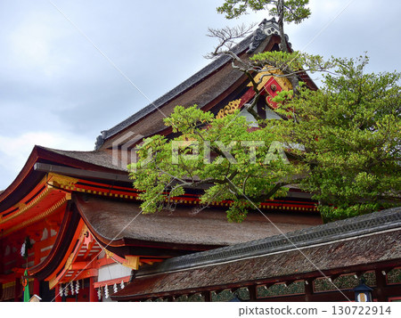 八坂神社本殿（國寶） 130722914