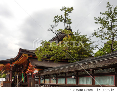 八坂神社本殿（國寶） 130722916