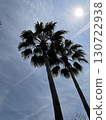 Palm trees shining in the blue sky 130722938