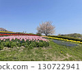 Colorful flower garden 130722941