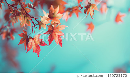 A beautiful autumn scene with red leaves against a blue sky. A striking photo with vivid colors and a simple composition. 130723170