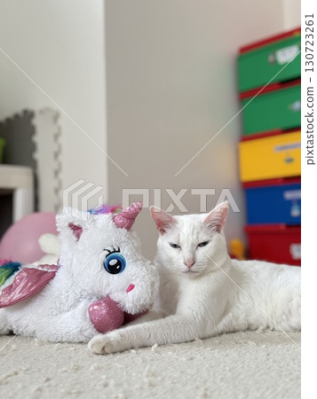 獨角獸和白貓 獨角獸和白貓 130723261