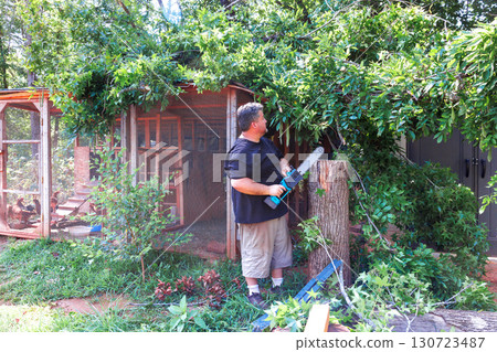 After hurricane man cuts overgrown branches with chainsaw near garden structure, ensuring tidy yard After hurricane man cuts overgrown branches with chainsaw near garden structure, ensuring tidy yard 130723487