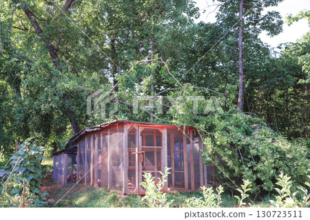 Tree branches have fallen onto chicken coop in rural area, causing damage posing safety risk for animals. 130723511
