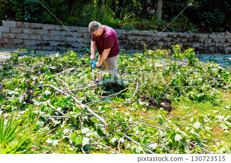 Worker is pruning fallen branches in garden after hurricane surrounded by foliage, stone landscaping. 130723515