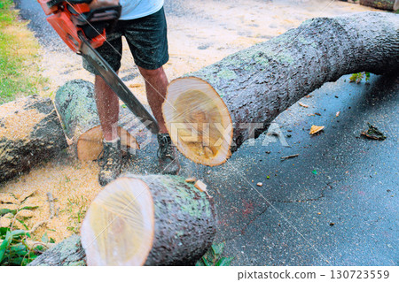 Worker is cutting fallen tree log with chainsaw, creating sawdust along roadside under hurricane Worker is cutting fallen tree log with chainsaw, creating sawdust along roadside under hurricane 130723559