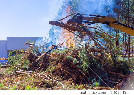 Large equipment removes tree branches while flames rise from burning pile of debris on forested area works day Large equipment removes tree branches while flames rise from burning pile of debris on forested area works day 130723563