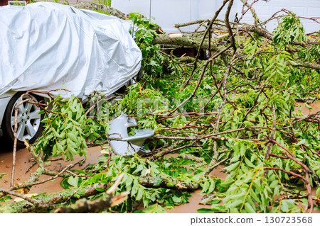After severe storm, car is covered by fallen branches leaves, highlighting aftermath of thunder strong storm weather event. 130723568