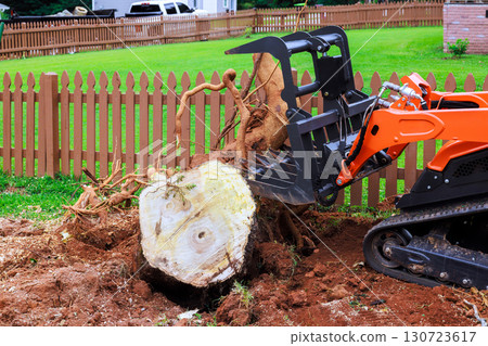Machine operates to remove large tree stump from backyard surrounded by wooden fence. Machine operates to remove large tree stump from backyard surrounded by wooden fence. 130723617