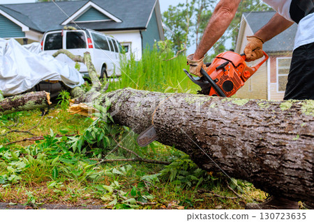 Service man operates chainsaw to remove large fallen tree from yard in suburban neighborhood after storm. 130723635