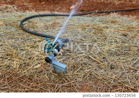 Water sprays from sprinkler onto dry grass in an agricultural setting, providing irrigation to soil. 130723656