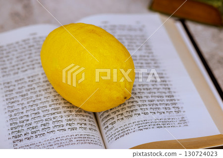 1 August 2025 Jerusalem Israel Etrog citron fruit placed on open Hebrew prayer book Torah during traditional religious Jewish Sukkot holiday celebrations, with Hebrew text. Tanakh prayer holy book 130724023