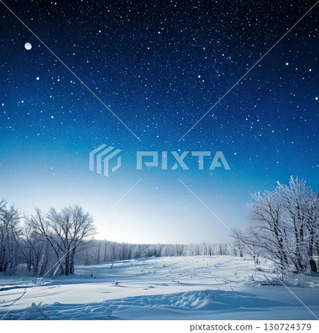 背景是寒冷的冬夜天空 130724379