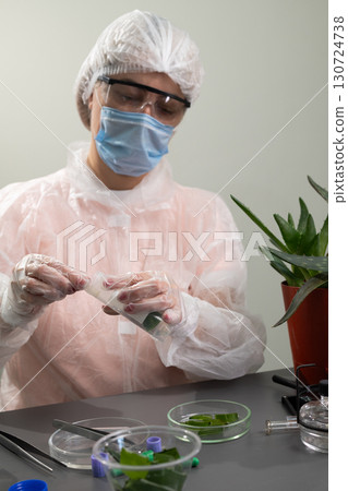 Research on Aloe Plant Applications in Laboratory Settings for Medicinal Studies 130724738