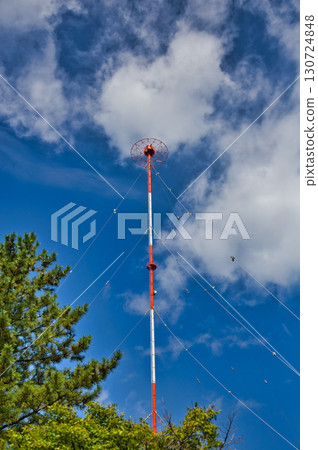 夏日陽光下閃閃發光的樹葉 夏日陽光下閃閃發光的樹葉 130724848