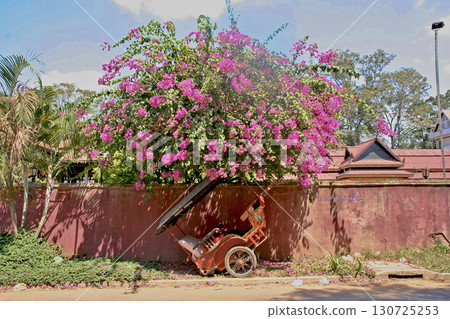 柬埔寨風景_嘟嘟車 130725253