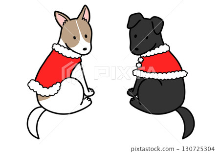 穿著聖誕服裝的狗、救援犬和混種狗 穿著聖誕服裝的狗、救援犬和混種狗 130725304