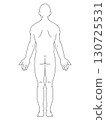 Anatomical straight male back line drawing 130725531