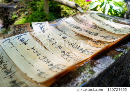 Water-soaked omikuji at Mitaki-Dera temple in Hiroshima, Japan Water-soaked omikuji at Mitaki-Dera temple in Hiroshima, Japan 130725665