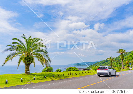 [Miyazaki Prefecture] Miyazaki City, Phoenix Roadside Station: Cars driving along the seaside 130726301