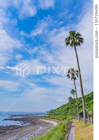 [Miyazaki Prefecture] Miyazaki City, Roadside Station Phoenix: Seaside View 130726499