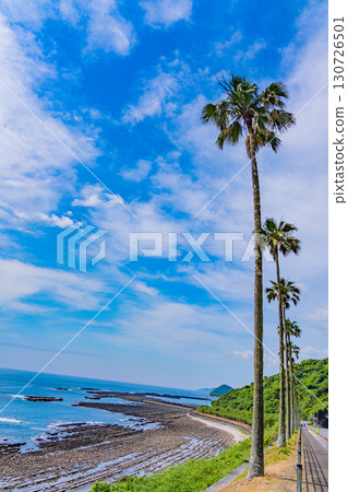 [Miyazaki Prefecture] Miyazaki City, Roadside Station Phoenix: Seaside View 130726501