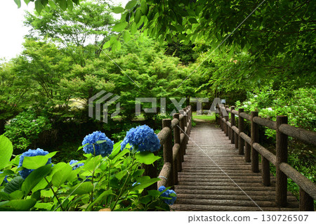 大瀧川森林公園【和歌山縣日高區日高川町】 130726507