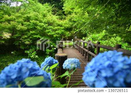 Otakigawa Forest Park [Hidakagawa Town, Hidaka District, Wakayama Prefecture] 130726511
