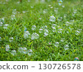 Bubbles on the Grass 130726578