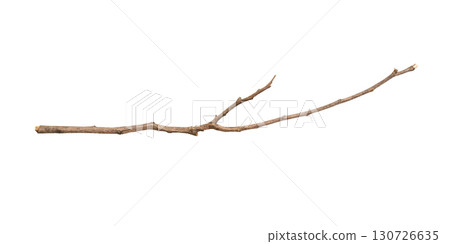 Dry tree branches isolated on white background Dry tree branches isolated on white background 130726635