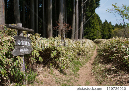中勝城山（山頂）[大阪府千早赤坂村、奈良縣五條市] 130726910