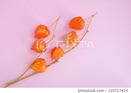 Dried flower Dried flower 130727414