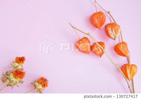 Dried flower Dried flower 130727417