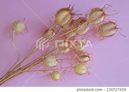 乾花 130727439