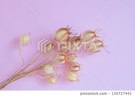 乾花 乾花 130727441