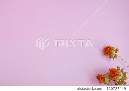 乾花 乾花 130727449