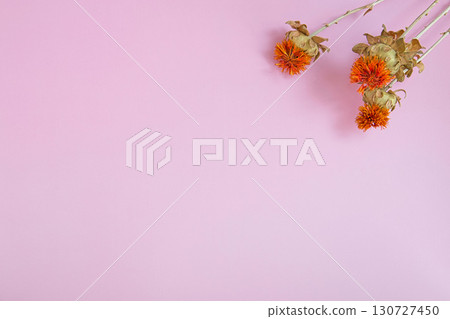 乾花 130727450