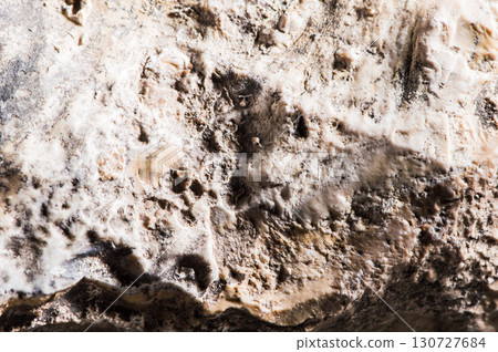 Close-up of a porous stone Close-up of a porous stone 130727684