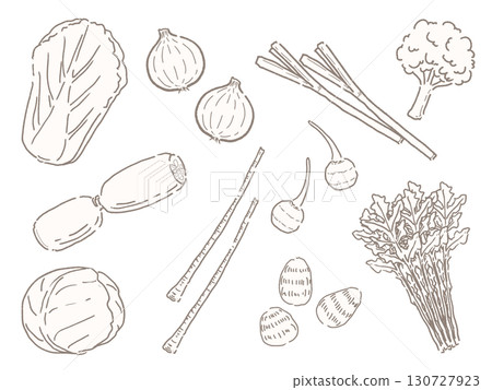 各種蔬菜的插圖 130727923