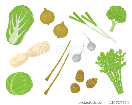 各種蔬菜的插圖 130727924