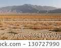 Arid desert landscape of Balkh Province, Afghanistan with dry vegetation and a mountain range 130727990