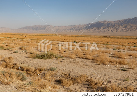 Barren desert plain with dry scrubland and a distant mountain range on the horizon 130727991